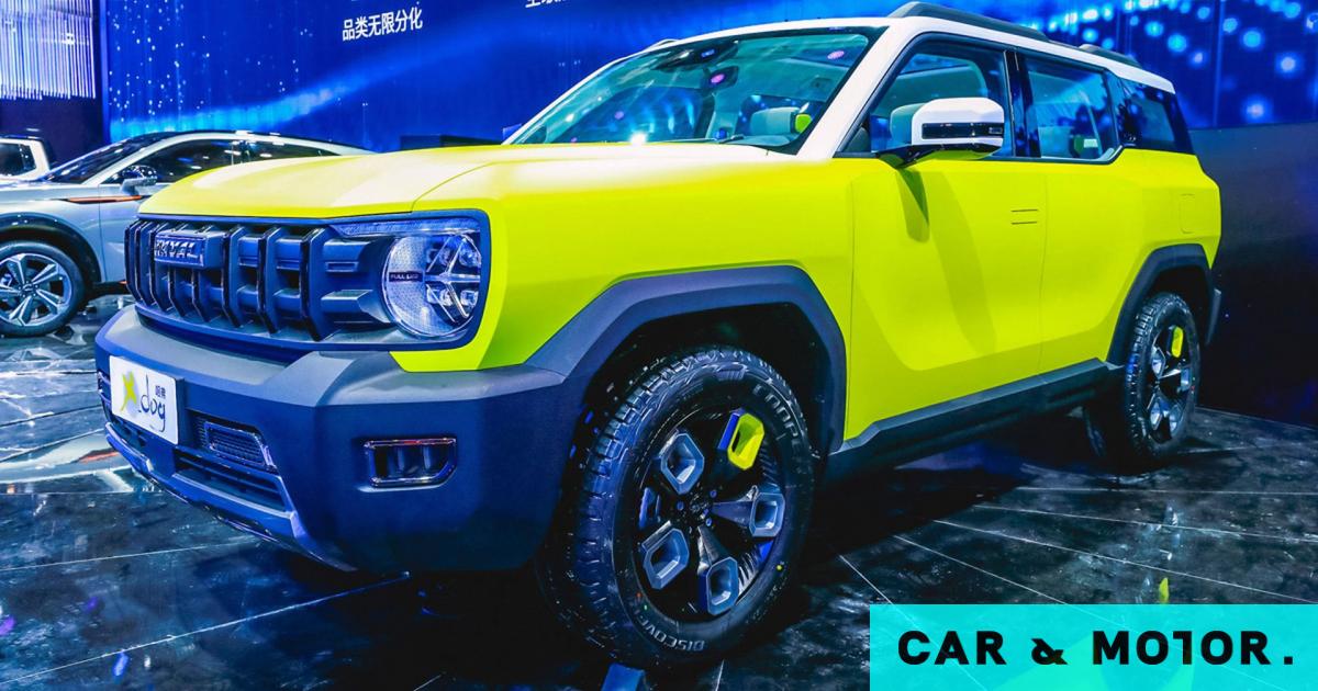Haval x dog